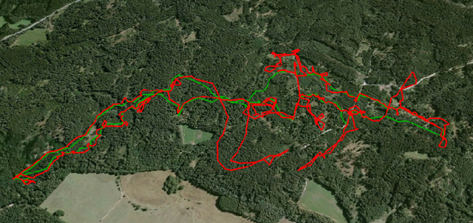 GPS obojky s navigací umožňují v průběhu celého lovu sledovat práci psů